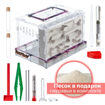 Стартовый комплект Муравьиная ферма XXXVG emerald