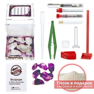 Стартовый комплект с муравьями ‘’XL‘’ emerald