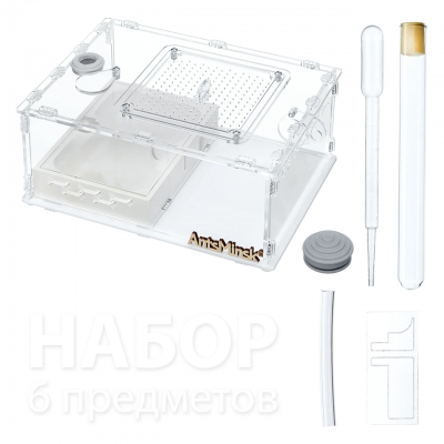 Муравьиная ферма XXL "Ponerinae"