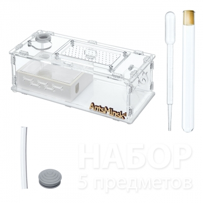 Муравьиная ферма XL "Ponerinae"