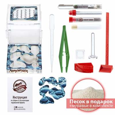 Стартовый комплект с муравьями ‘’XL‘’ rain