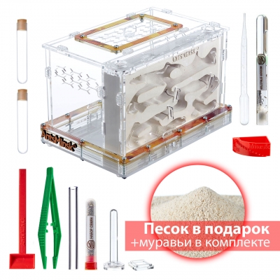 Стартовый комплект Муравьиная ферма XXXVG autumn