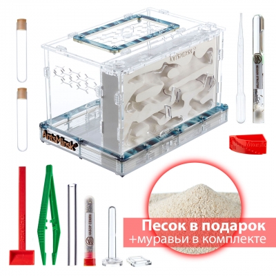 Стартовый комплект Муравьиная ферма XXXVG rain
