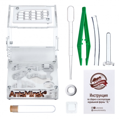 Муравьиная ферма XL White с перегородками