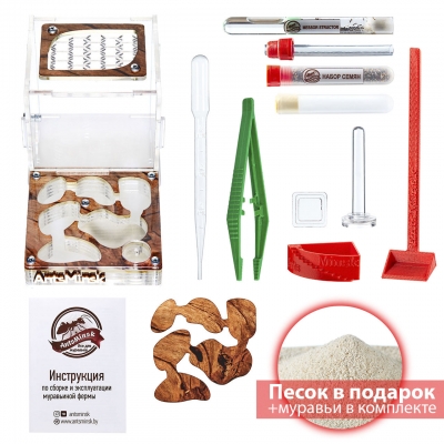Стартовый комплект с муравьями ‘’XL‘’ tree