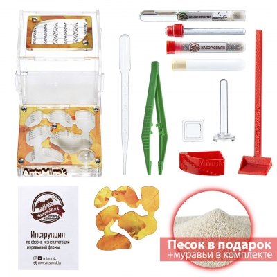 Стартовый комплект с муравьями ‘’XL‘’ autumn