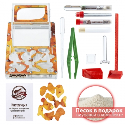 Стартовый комплект с муравьями ‘’XXL‘’ autumn