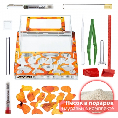 Стартовый комплект с муравьями ‘’XXXL‘’ autumn