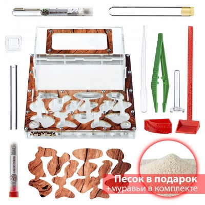 Стартовый комплект с муравьями ‘’XXXL‘’ tree