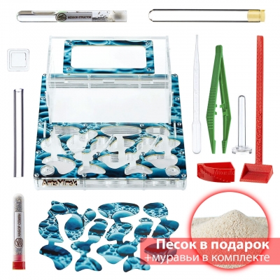 Стартовый комплект с муравьями ‘’XXXL‘’ rain